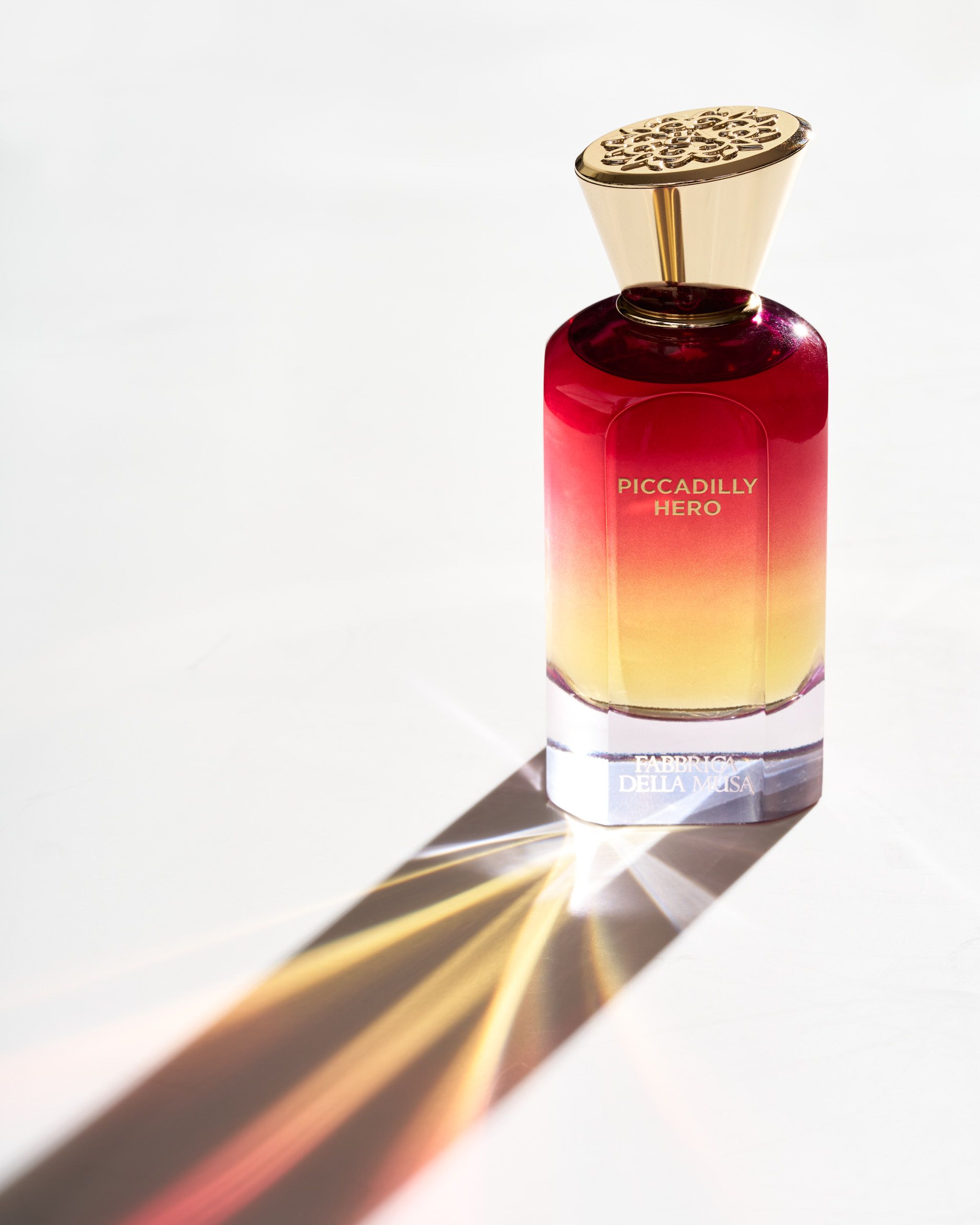 Fabbrica della Musa - Pic. 7